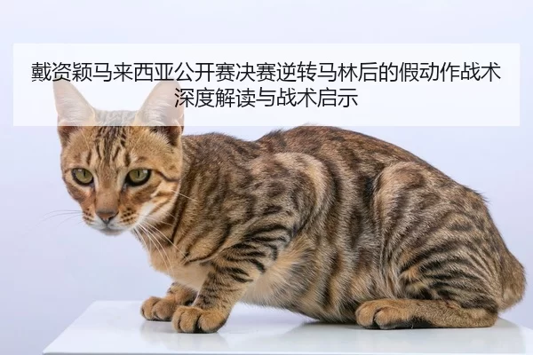 dai-zi-ying-ma-lai-xi-ya-gong-kai-sai-jue-sai-ni-zhuan-ma-lin-hou-de-jia-dong-zuo-zhan-shu-shen-du-jie-du-yu-zhan-shu-2-924.jpg