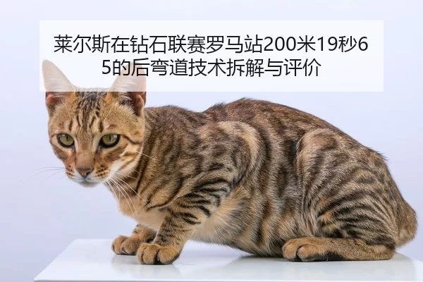 莱尔斯在钻石联赛罗马站200米19秒65的后弯道技术拆解与评价
