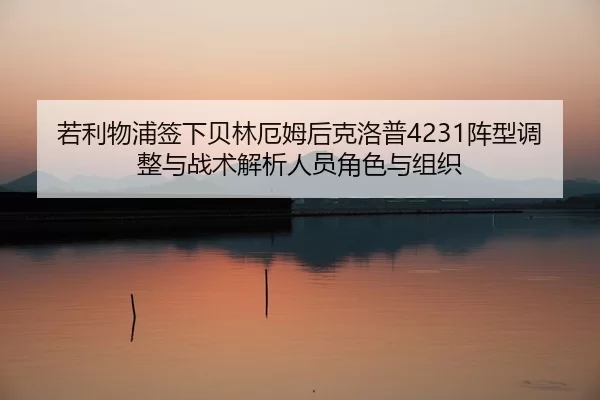 ruo-li-wu-pu-qian-xia-bei-lin-e-mu-hou-ke-luo-pu-zhen-xing-tiao-zheng-yu-zhan-shu-jie-xi-ren-yuan-jue-se-yu-zu-zhi-2-958.jpg