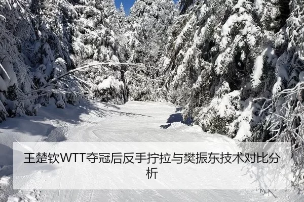 wang-chu-qin-duo-guan-hou-fan-shou-ning-la-yu-fan-zhen-dong-ji-shu-dui-bi-fen-xi-2-285.jpg
